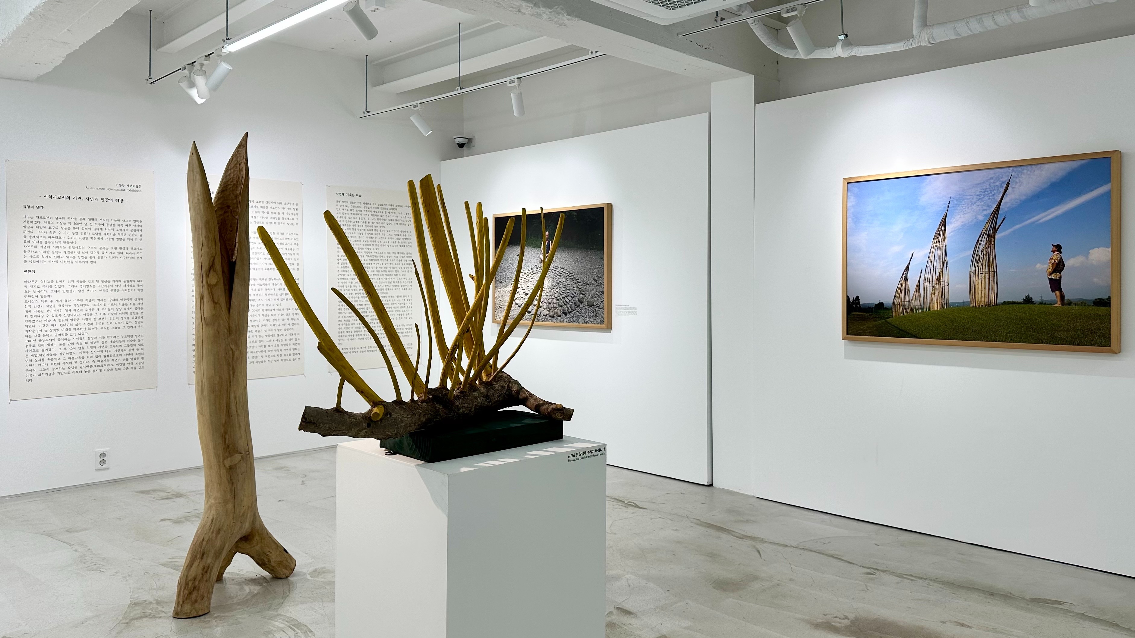 전시전경 · Exhibition view · (이미지 출처 = CN갤러리) · (Image Source = CN gallery)